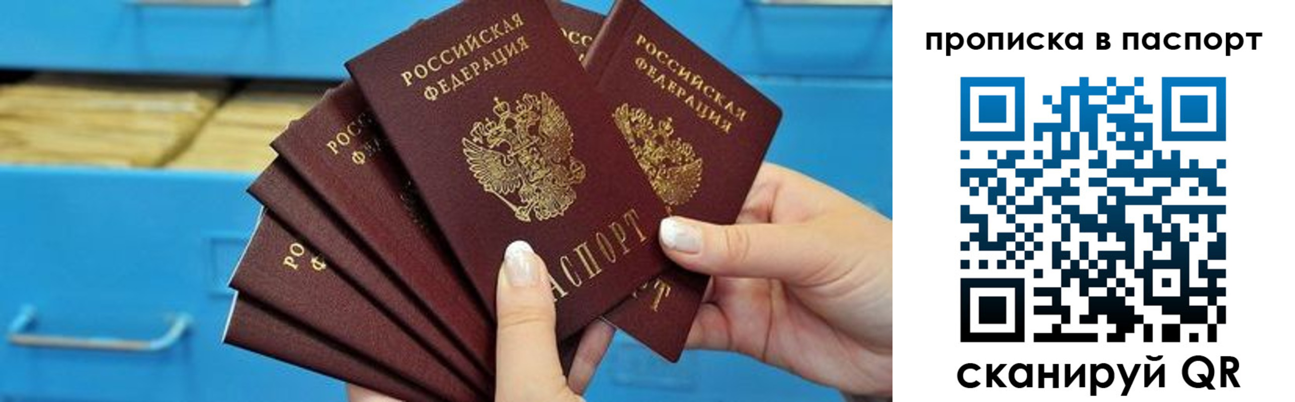 прописка в Апатитах