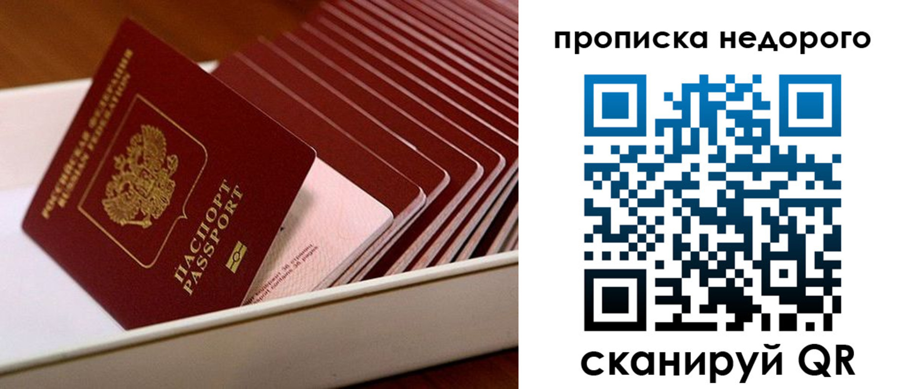 прописка паспорт в Апатитах