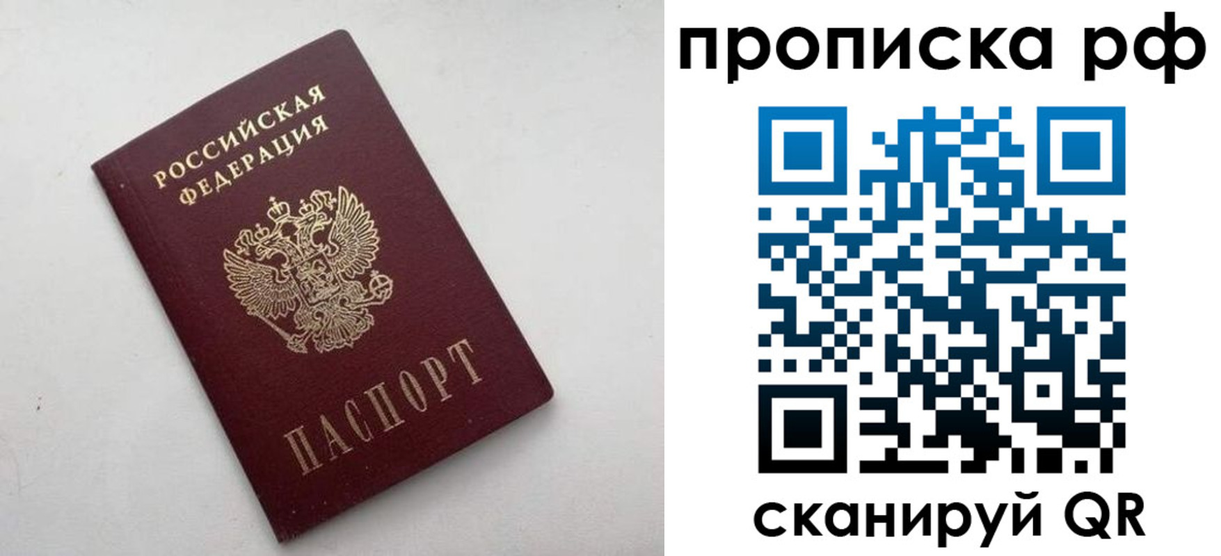 прописка ребенка в Апатитах